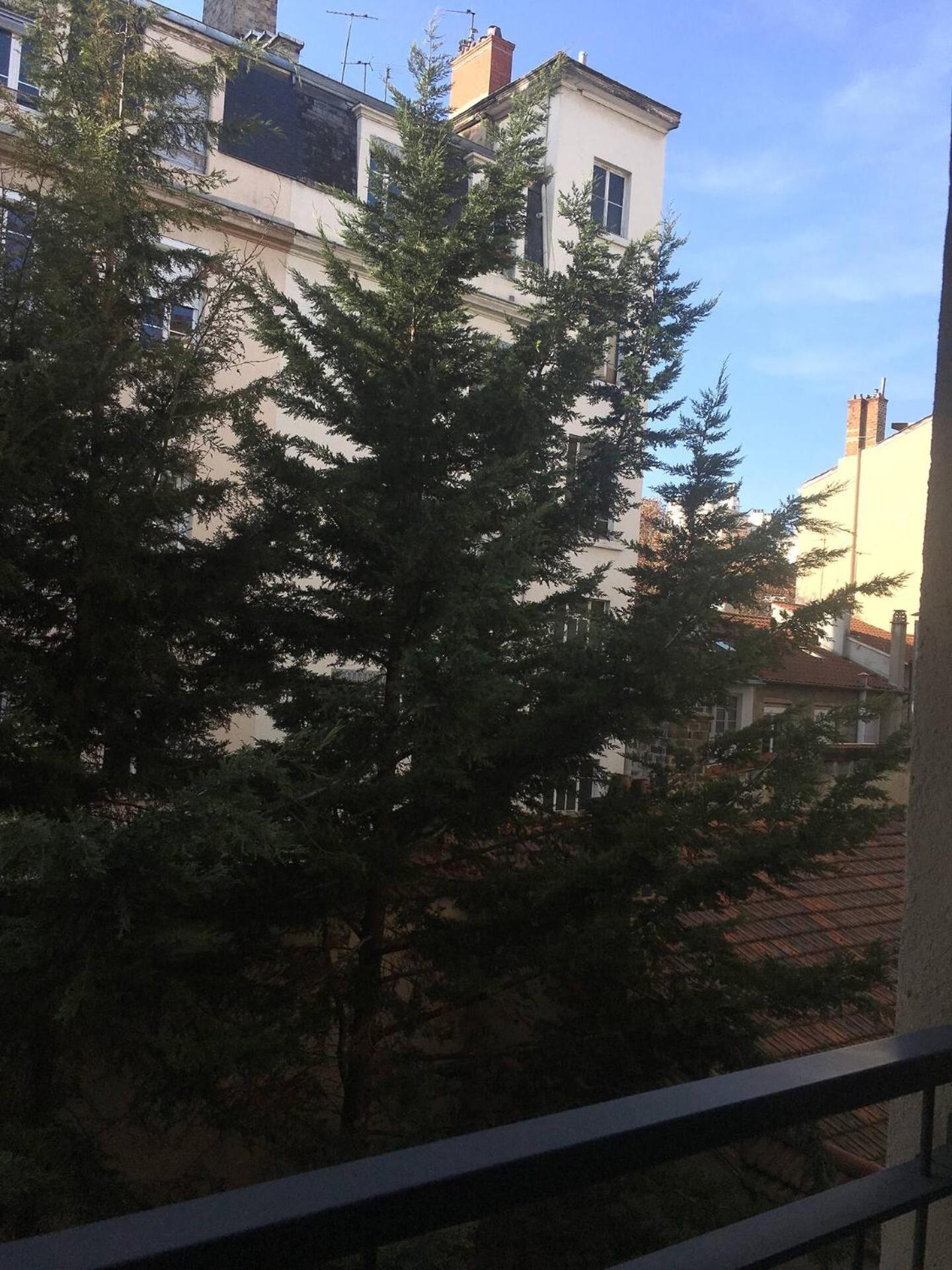 Le Vendome - Shared Appartment Lyon Dış mekan fotoğraf